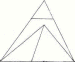 perspectiva caballera 005